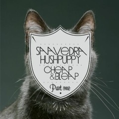 Cheap & Bleep (pt.1)