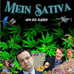 Mein Sativa