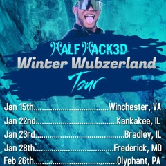 Winter Wubzerland Tour Mix LIVE at The Looney Bin