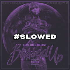 Levi The Trillest - Bossed Up #SLOWED