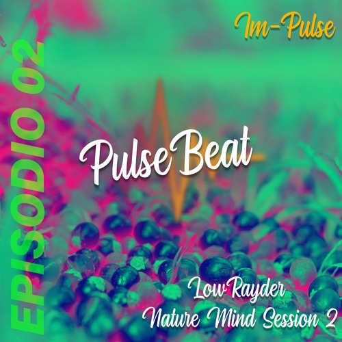 DJ SET - LowRayder - Nature Mind Session 2 │CHILL TECHNO HITS │