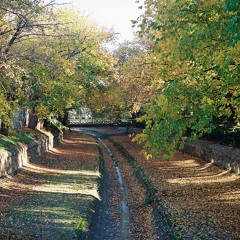 Infinite Wurldwide w/ Dot.AY - 07282021