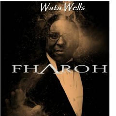 Wata Wells