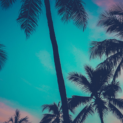 Flexing Like This - Official Song