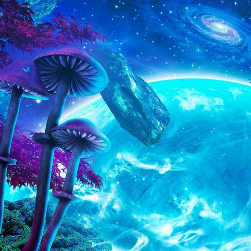 Psytrance 2023