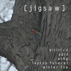 jigsaw (with adri, at4g, laptop funeral, winter foe)