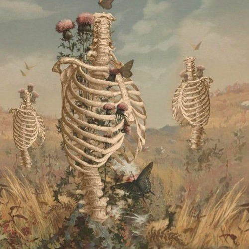 PERFECT(slowed)