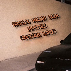 Skrillex, HAWAII SLIM - SPITFIRE (Racseaux remix)