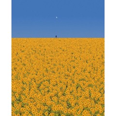 flower fields {prod. M!CHAEL}