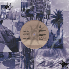 Saint Ludo, Kasst 8 - Subliminals (Nash Rly Remix)