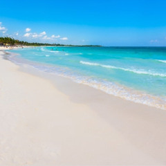 Mexican mimosa   (prod. by JacquesToni)