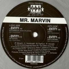 CCR-008 / Mr. Marvin - Entity
