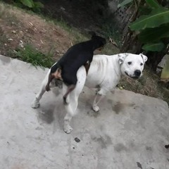 (っ◔◡◔)っ ♥ nalga y tetita ♥