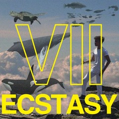 Ecstasy VII