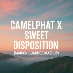 Camelphate X Sweet Disposition - (Maicon Q Mashup) (+1 Pitch no copyright) (FREE DOWNLOAD)