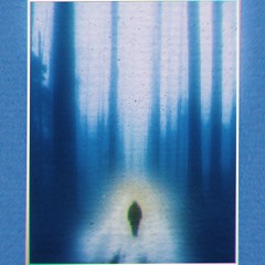 OPHIR - BOSQUE INTERIOR