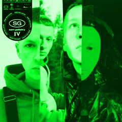 Assumptions (ROBUSTT DUB)