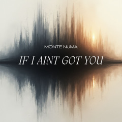 If I Ain't Got You