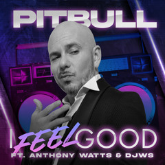 Pitbull - I Feel Good (feat. Anthony Watts & DJWS)