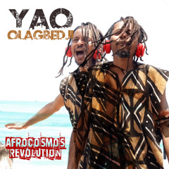 AFROCOSMOS REVOLUTION