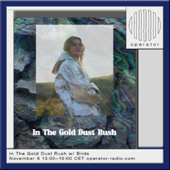 In The Gold Dust Rush w/ Birds - 6th November