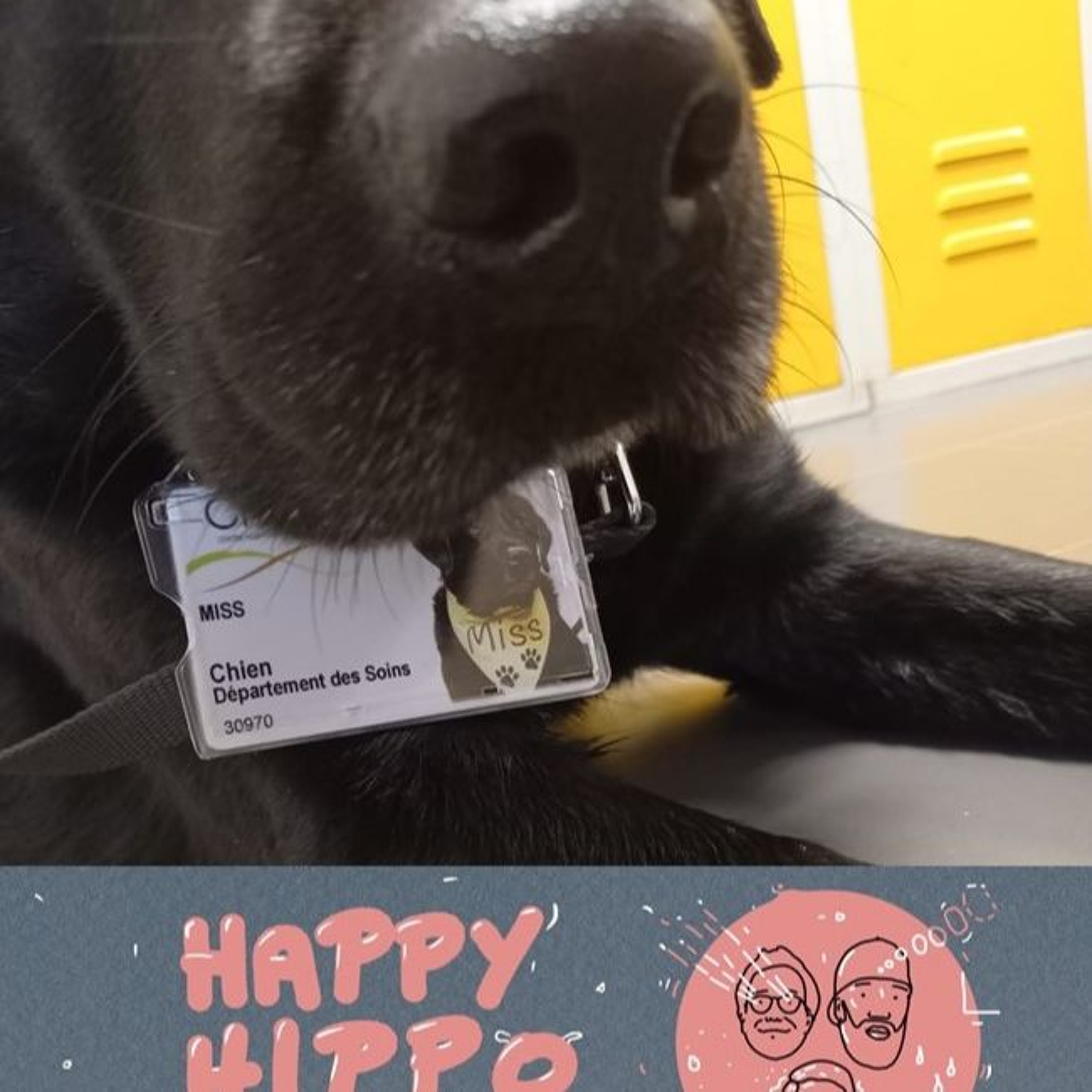 144 Happy Hippo Podcast - Miss Monolog episode artwork
