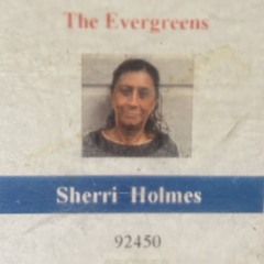 THE EVERGREENS