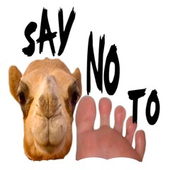 cameltoe