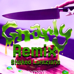 Gnarly - (Shaked Lantziano Remix)