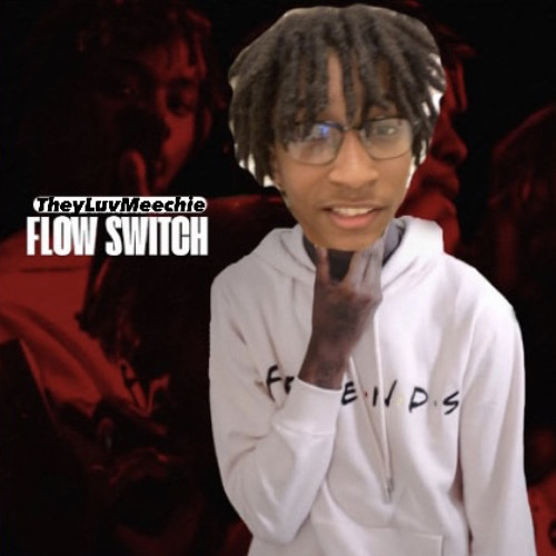 Flow Switch