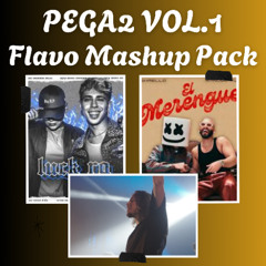 PEGA2 VOL.1 / FLAVO FREE MASHUP PACK