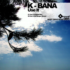 Use It (Aki Bergen Remix)