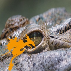 Collapse of the Deep State