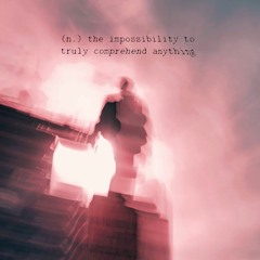 Acatalepsy - (n. ) the impossibility to truly comprehend anything