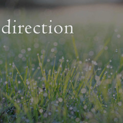 direction (naviarhaiku608)
