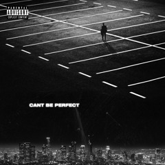 Can't Stay Perfect (PND Re - MAXXX)