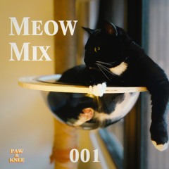 MEOW MIX 001