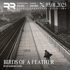 Nobodi (Live) - Birds Of A Feather 005