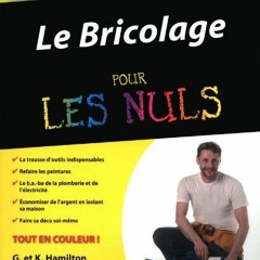 Télécharger eBook Bricolage pour les nuls (French Edition) en ligne oeZj2