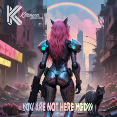 You Are Not Here Meow - Original Mix