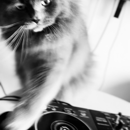 21K House ∞ Tech ∞ Techno