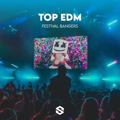 TOP EDM 2024 🔥 Festival Bangers