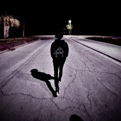 Lui Vittun - Fall back (prod divine) @407_leaks