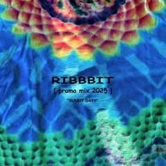 Ribbbit Promo Mix 2025 (all original)