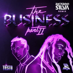 The Business (RICARDO SILVA Remix)