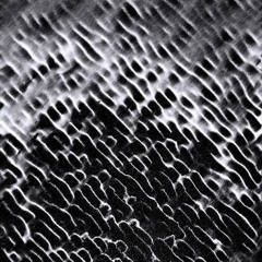 Fractured Echo Pt. 1