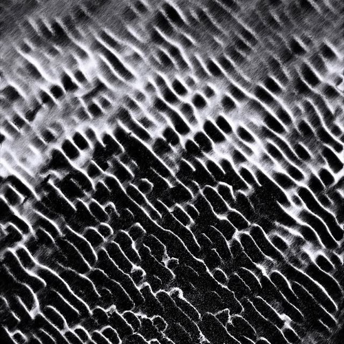 Fractured Echo Pt. 3