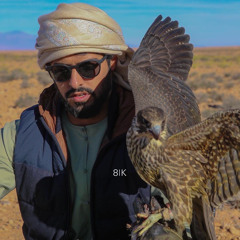 8IK يا طير
