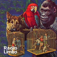 Radio Limbo - August 2020