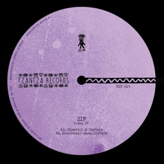 ZIF - Biserici Și Castele